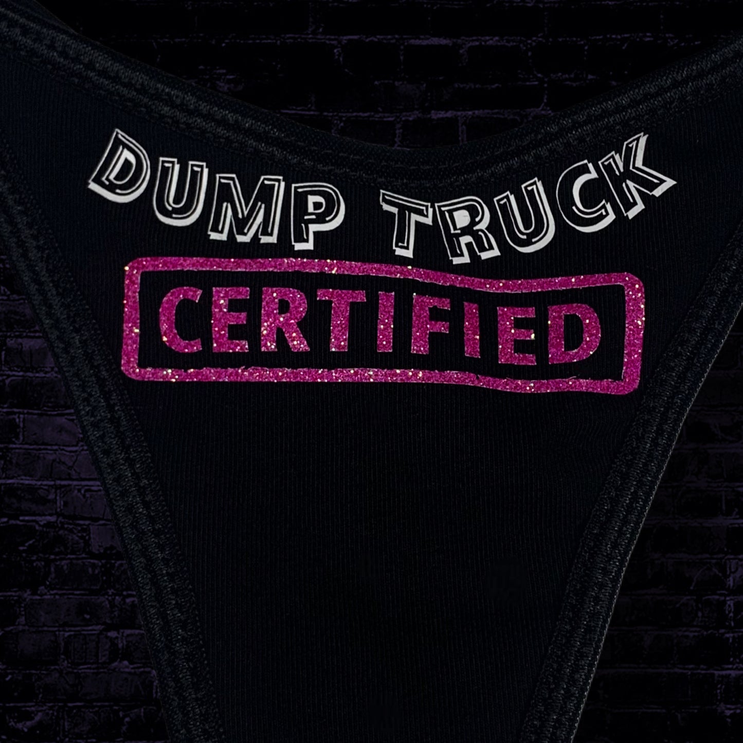 Dump Truck Certification | Bottoms